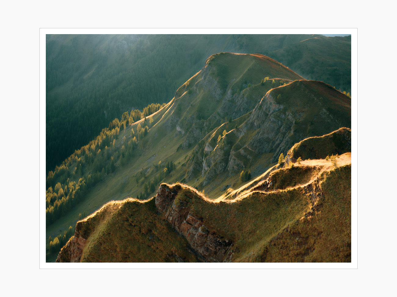 Max Schiefele Alle Bilder  DSF2849